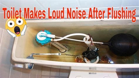 How to Determine What a Toilet Noise Is .